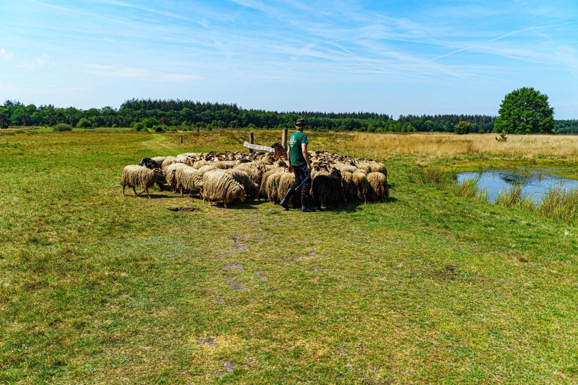 Camping Minicamping Drentse Monden Nieuw-Weerdinge