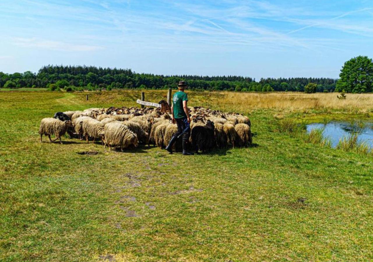 Minicamping Drentse Monden Camping *